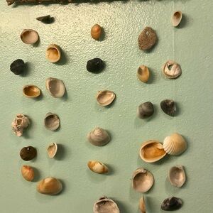 Seashell Wall Hanging Decor